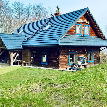 Chata Pod Jaworem Wisla Exterior photo